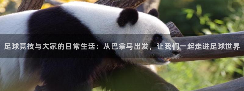 雨燕体育nba高清直播：足球竞技与大家的日常生活：从巴拿马出发，让我们一起走进足球世界