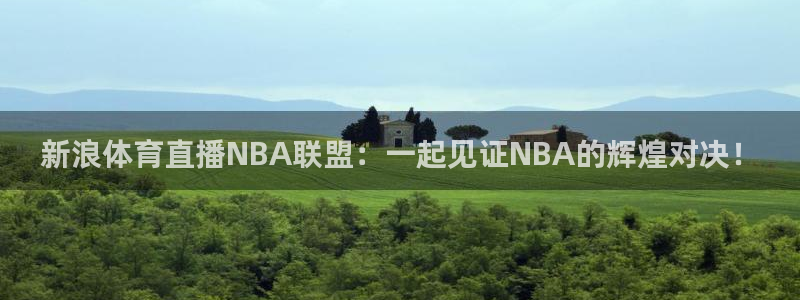 雨燕体育在线直播：新浪体育直播NBA联盟：一起见证NBA的辉煌对决！