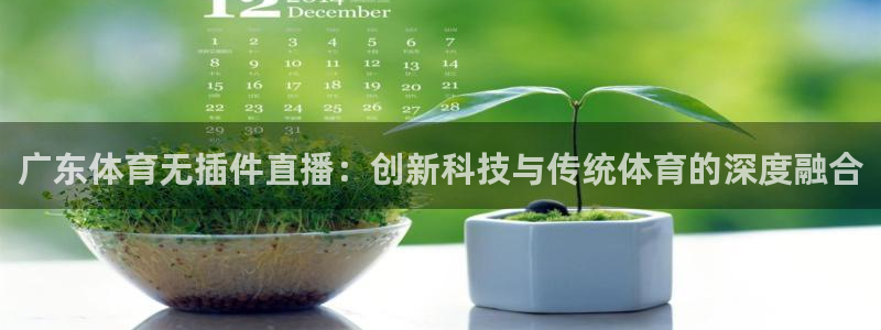 雨燕nba免费直播视频在线直播：广东体育无插件直播：创新科技与传统体育的深度融合