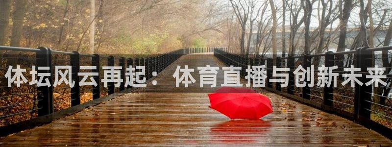 极速体育雨燕直播观看：体坛风云再起：体育直播与创新未来