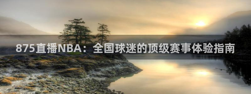 雨燕360体育直播nba：875直播NBA：全国球迷的顶级赛事体验指南