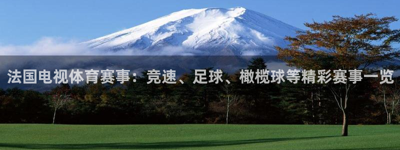 雨燕体育免费直播在线观看：法国电视体育赛事：竞速、足球、橄榄球等精彩赛事一览