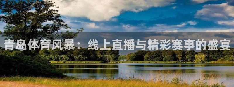 nba雨燕直播在线观看：青岛体育风暴：线上直播与精彩赛事的盛宴