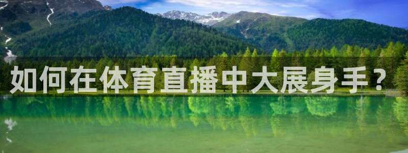 雨燕360足球直播免费观看：如何在体育直播中大展身手？