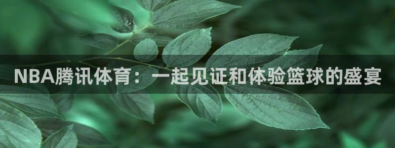 体育直播雨燕：NBA腾讯体育：一起见证和体验篮球的盛宴