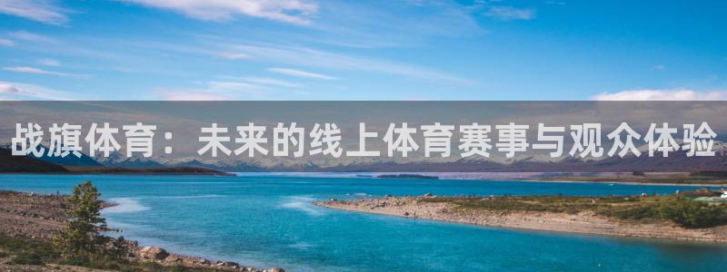 nba直播在线观看高清雨燕：战旗体育：未来的线上体育赛事与观众体验