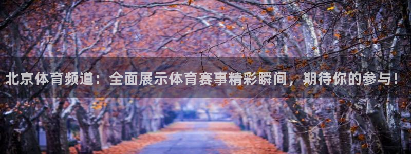 雨燕nba直播免费：北京体育频道：全面展示体育赛事精彩瞬间，期待你的参与！