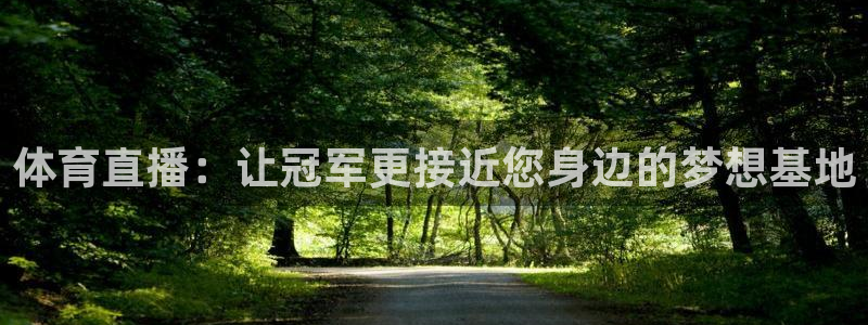 雨燕360直播nba免费观看：体育直播：让冠军更接近您身边的梦想基地