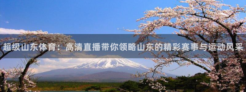 雨燕体育无插件高清直播cba：超级山东体育：高清直播带你领略山东的精彩赛事与运动风采