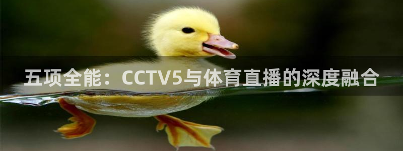 雨燕体育直播在线直播：五项全能：CCTV5与体育直播的深度融合